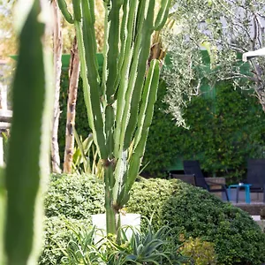 Mercure Centre Notre Dame **** Nice